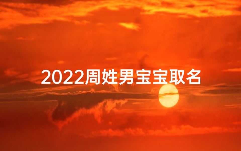 2022周姓男宝宝取名字