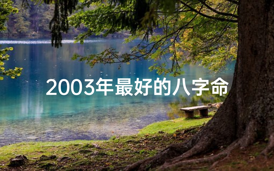 2003年最好的八字命理、2003年最佳八字命理揭秘：财运亨通的人生密码