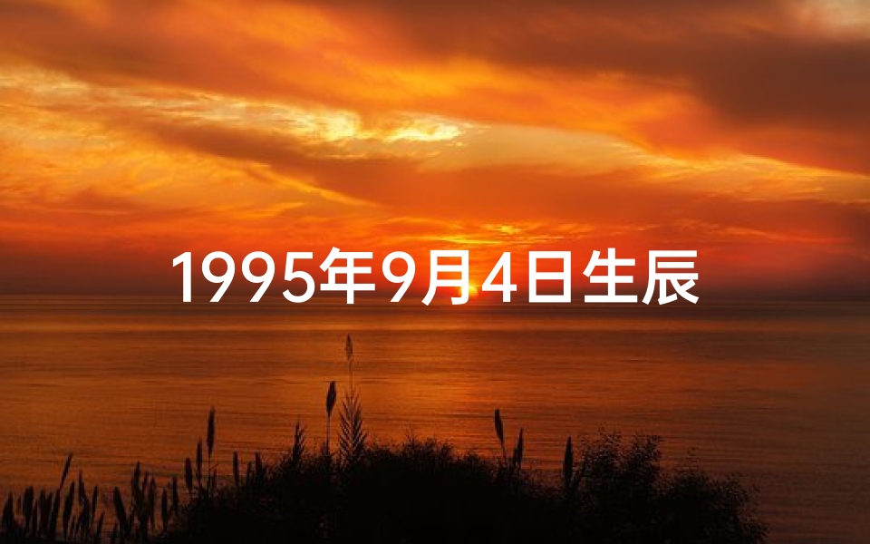 1995年9月4日生辰八字算命(1995年9月4日生辰八字：揭秘命运之谜)