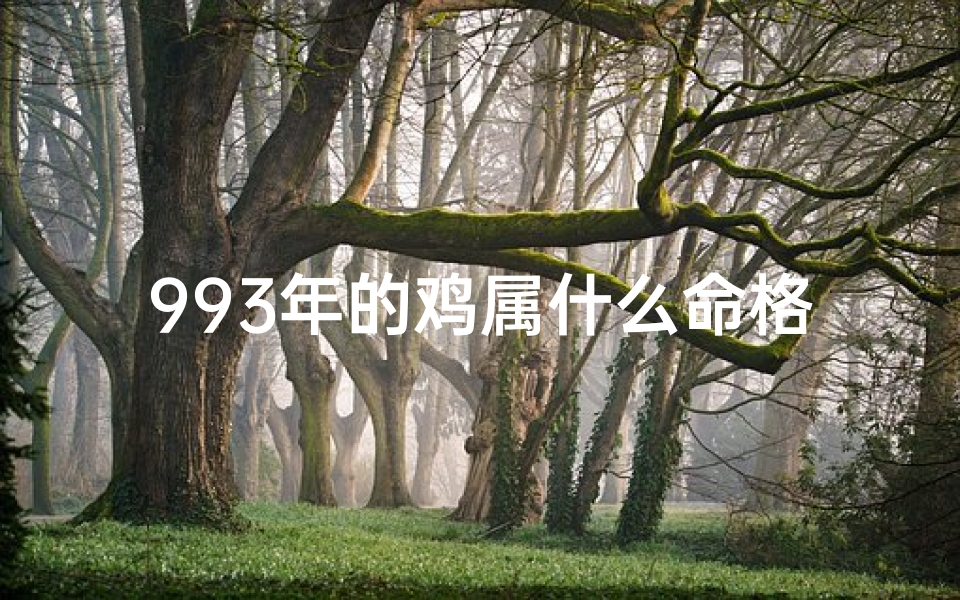 993年的鸡属什么命格,993年是什么命