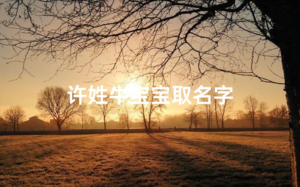 许姓牛宝宝取名字