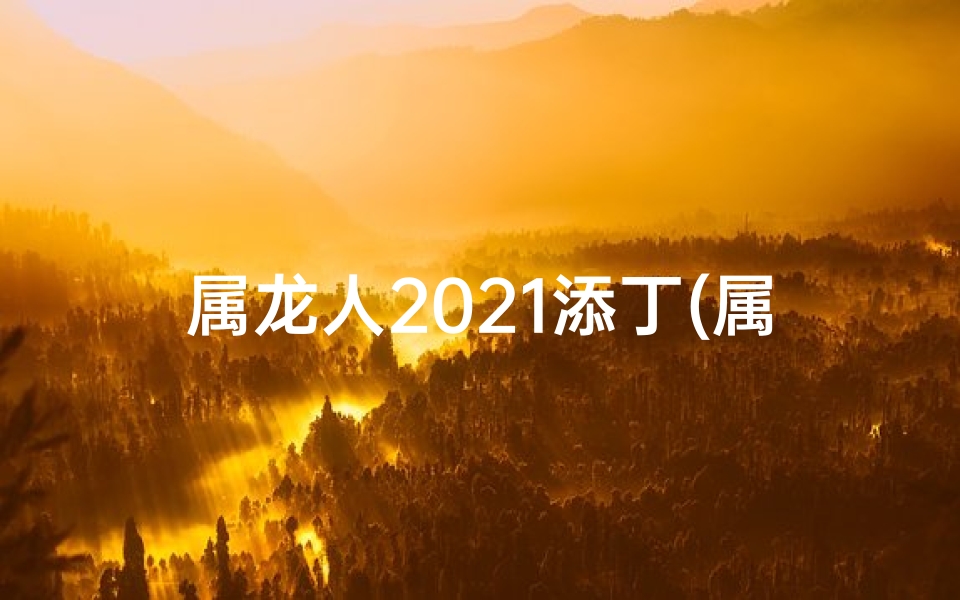 属龙人2021添丁(属龙人何时添丁)