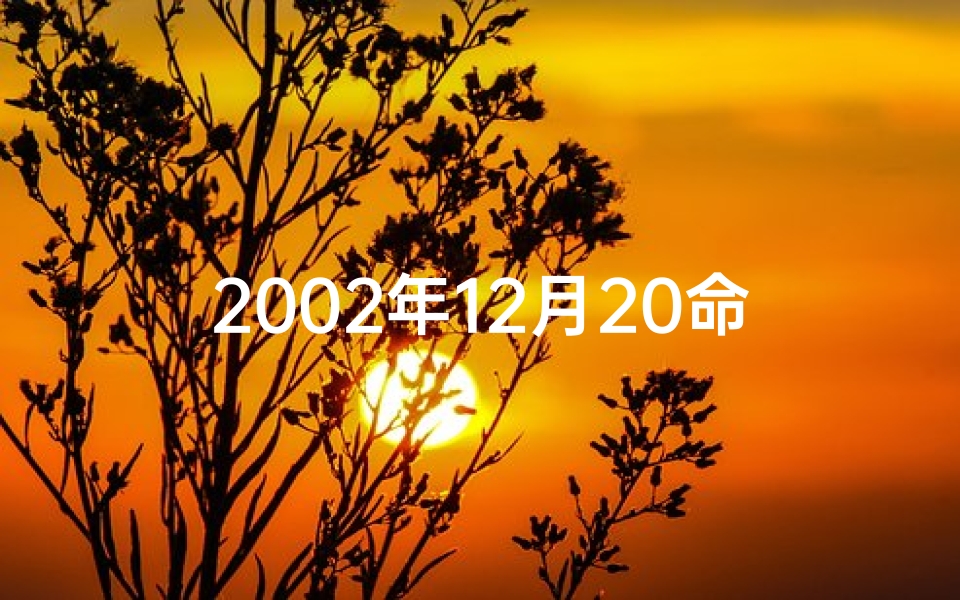 2002年12月20命格、2002年12月20日：命格新纪元