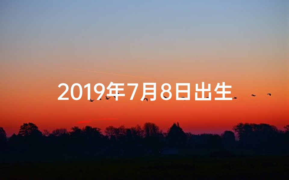 2019年7月8日出生八字(19年7月8日命格：揭秘独特命运密码)