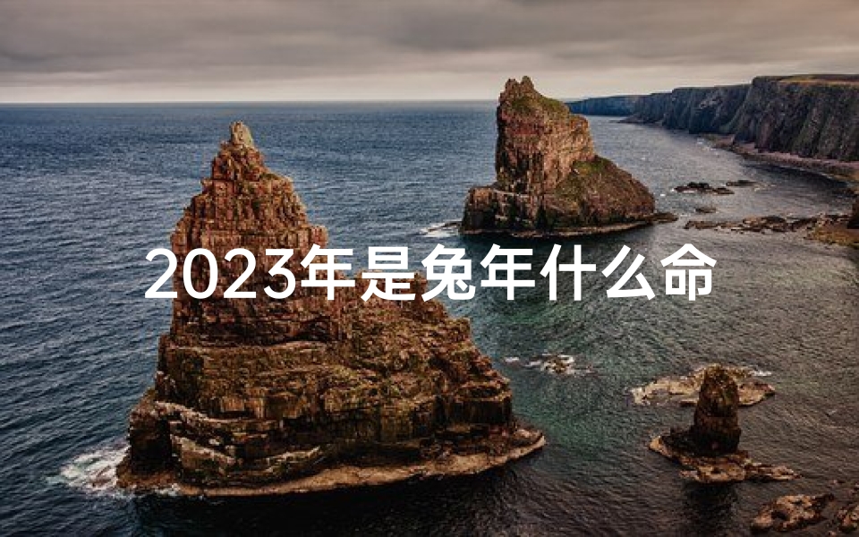 2023年是兔年什么命;《二三年兔年：揭秘生肖兔的命格特点》