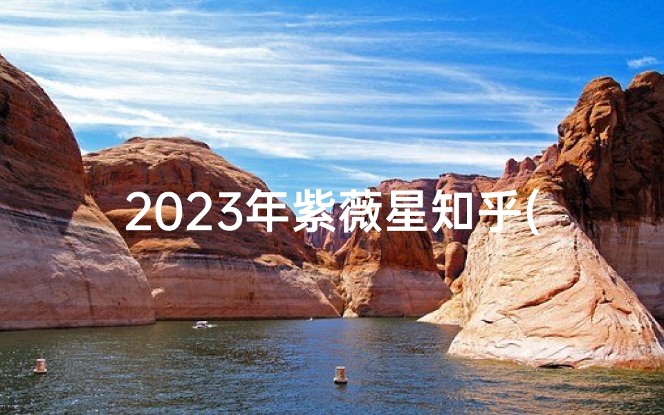 2023年紫薇星知乎(2023紫微命格揭秘：运势大解析)